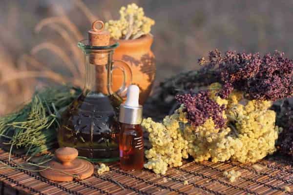 تصویر 3 از خرید فراورده های گیاهی + قیمت فروش استثنایی